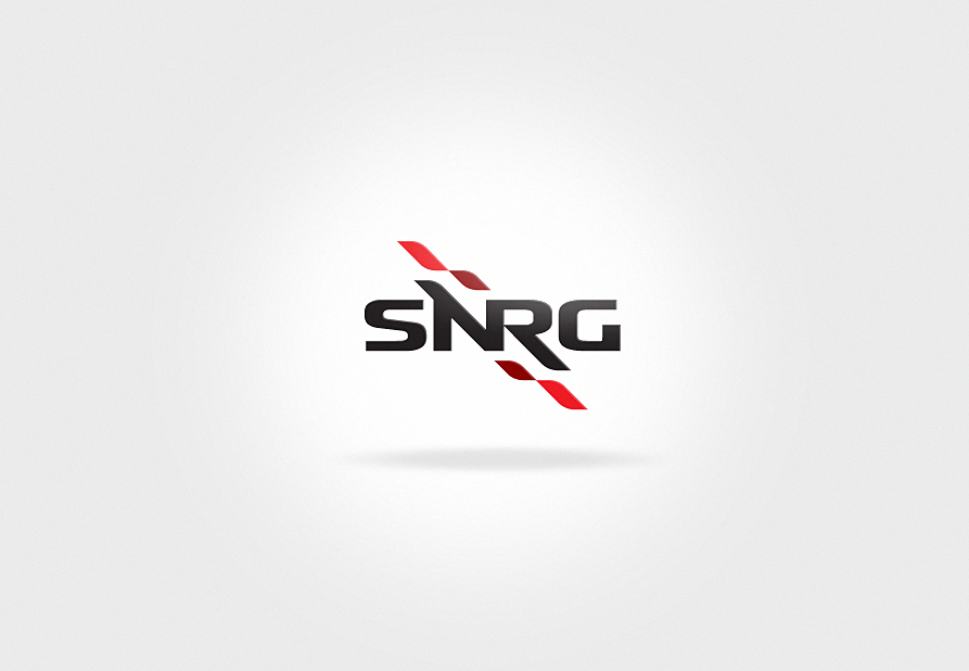 Фирменный логотип разработка SNRG