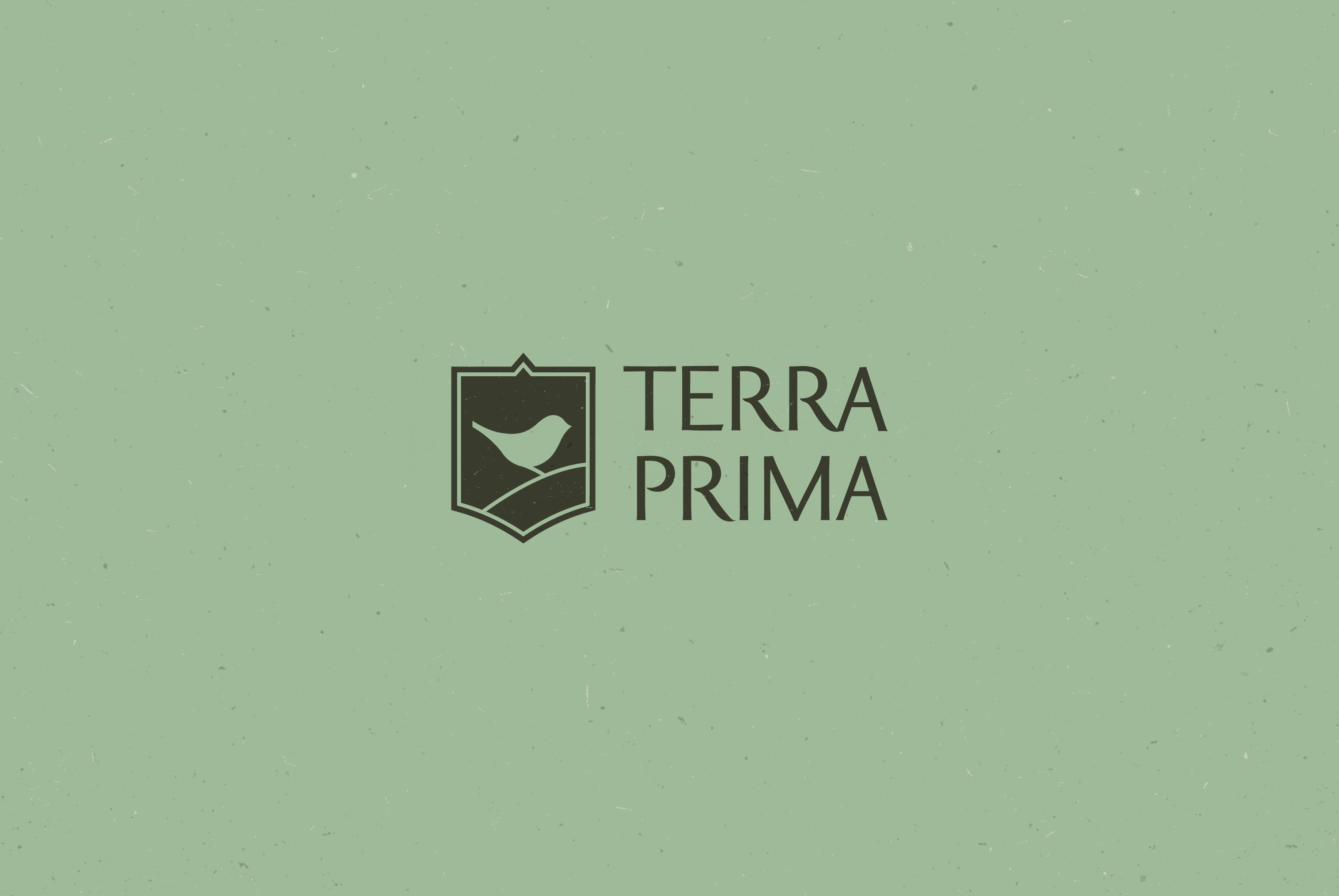 Идея и разработка логотипа Terra Prima