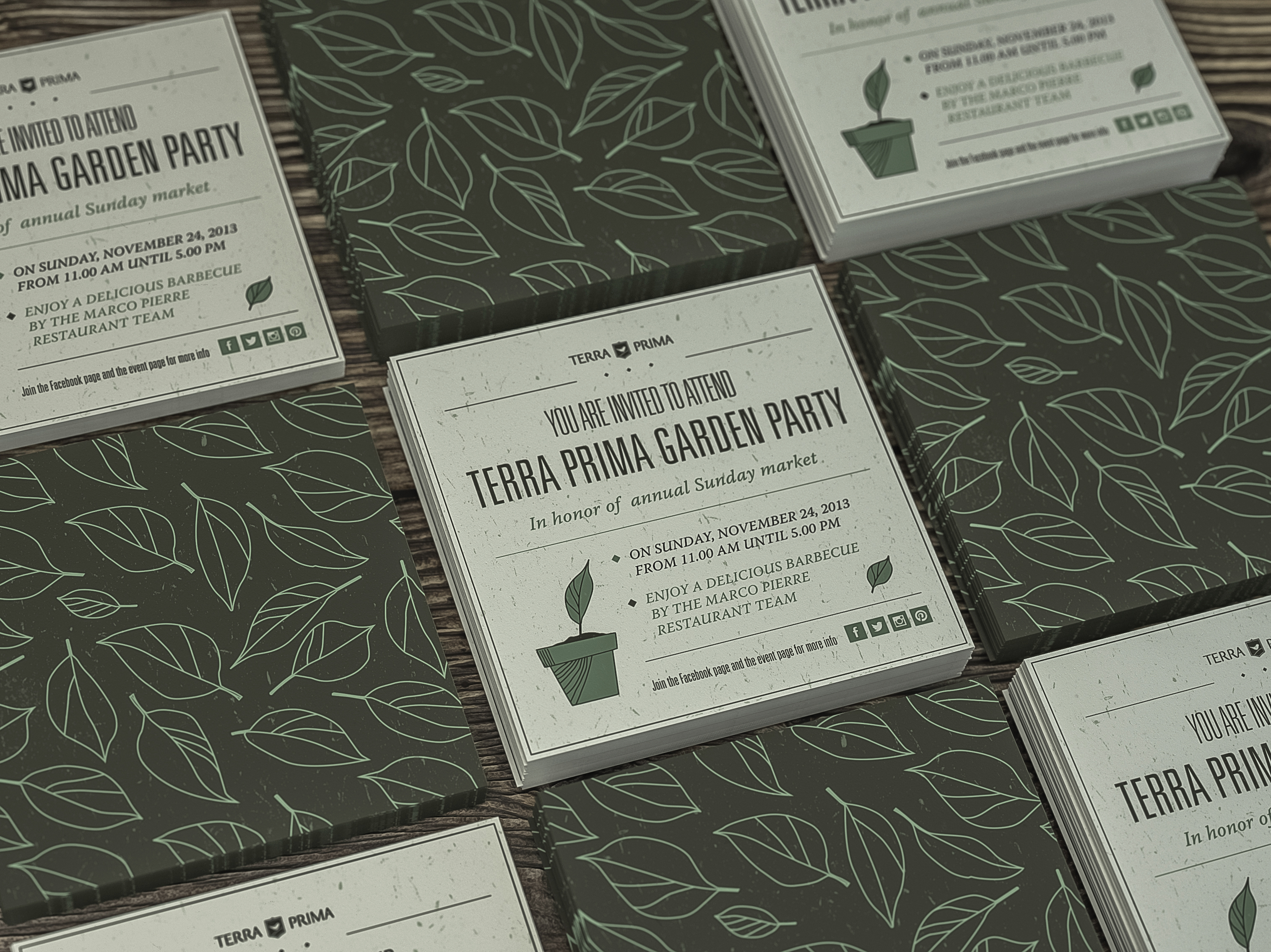 Дизайн листовки Terra Prima