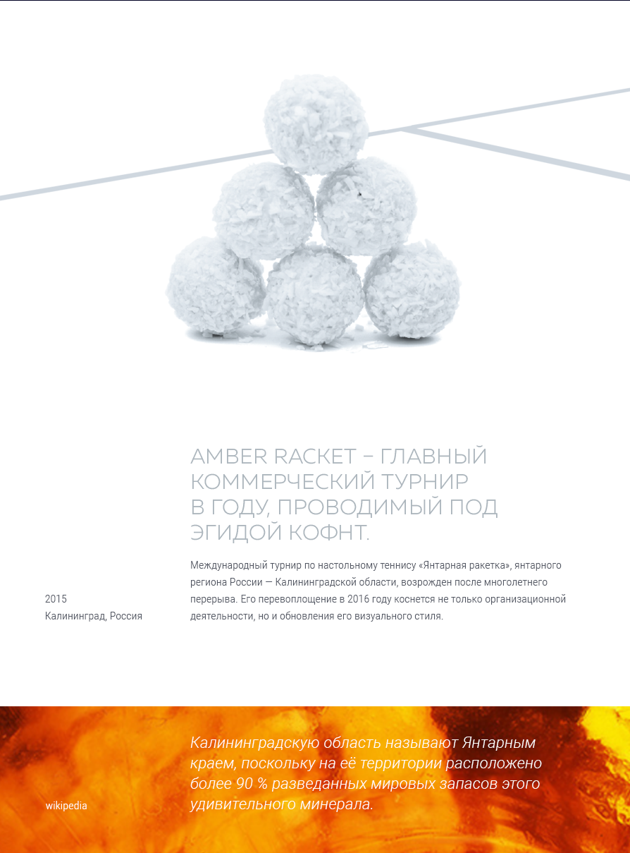 Разработка логотипа «Янтарная ракетка»
