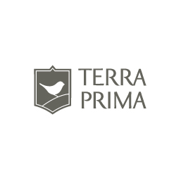 Разработка фирменного стиля Terra Prima